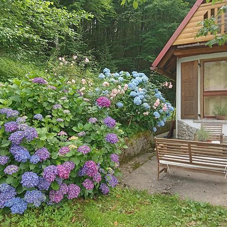 Holiday Home Vesna Brod na Kupi Exterior photo
