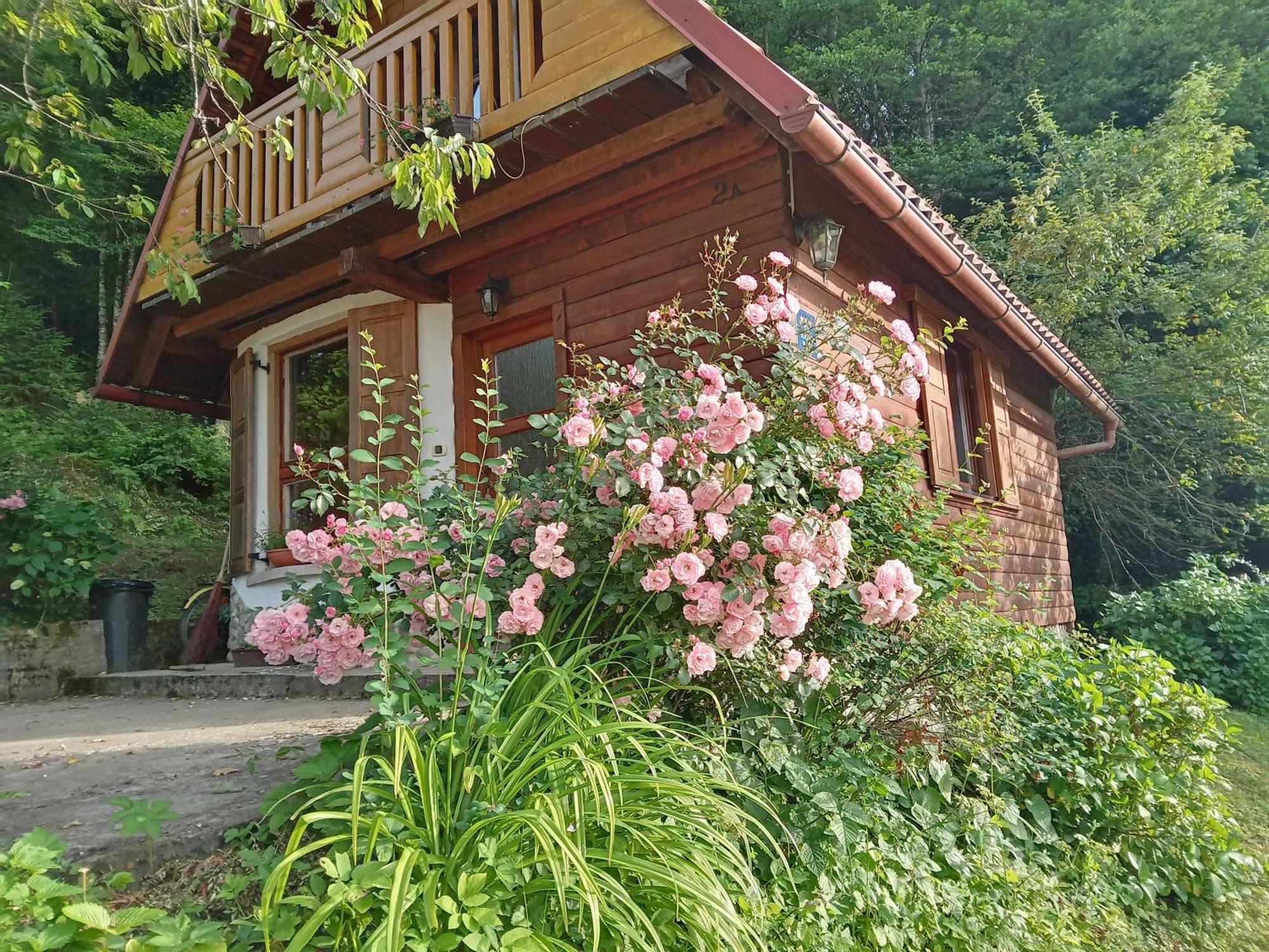 Holiday Home Vesna Brod na Kupi Exterior photo