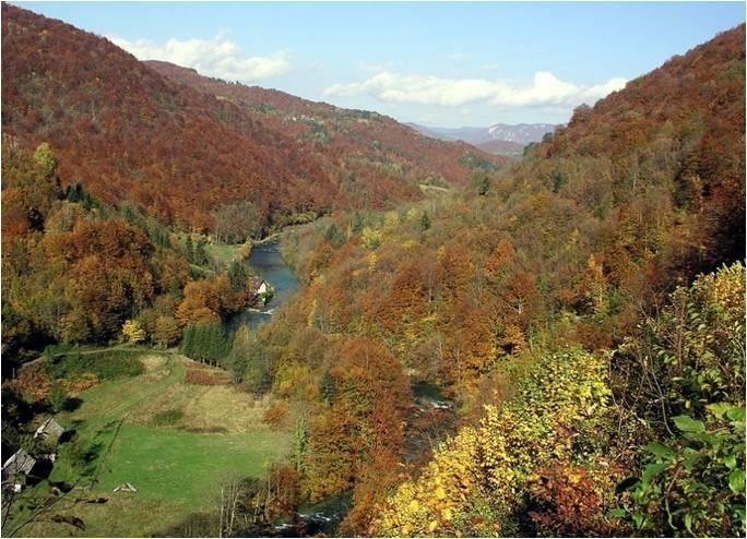 Holiday Home Vesna Brod na Kupi Exterior photo
