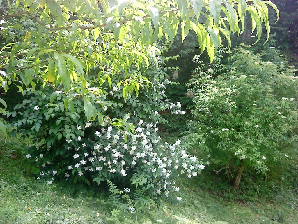 Holiday Home Vesna Brod na Kupi Room photo